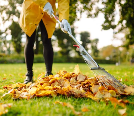 7 простых советов как подготовить газон к зиме - АО «ФЕРТИКА» 7 простых советов как подготовить газон к зиме