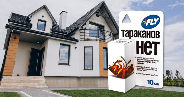 Действие FLY «Тараканов нет» распространяется и на взрослых насекомых, и на их личинок.