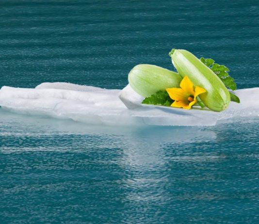 Мемы про кабачки — дачный юмор о любимом овоще