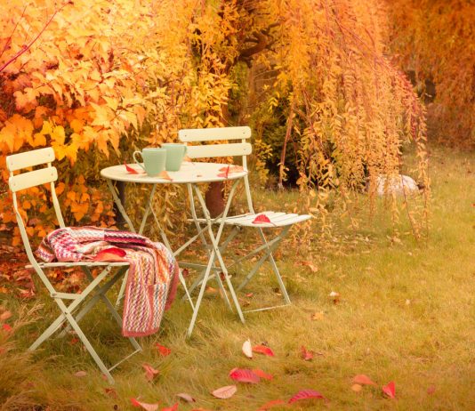 Долой осеннюю хандру — 10 идей для вдохновляющего осеннего сада