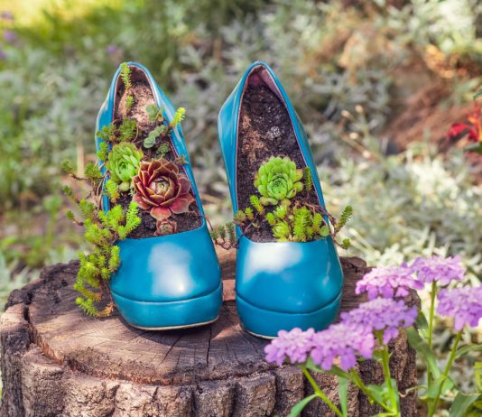 25 идей для нового цветника — готовимся к следующему сезону