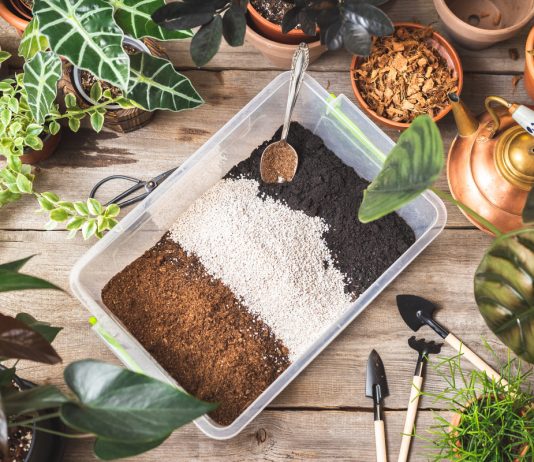 Готовим грунт для комнатных растений своими руками — оптимальный состав и качество