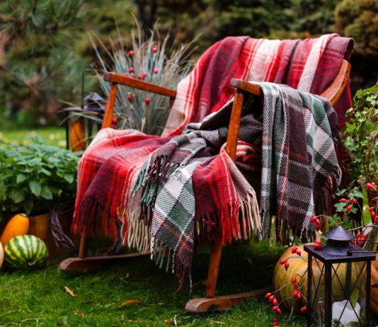 Можно ли под зиму сеять овощи, или Как бороться со скукой в конце дачного сезона