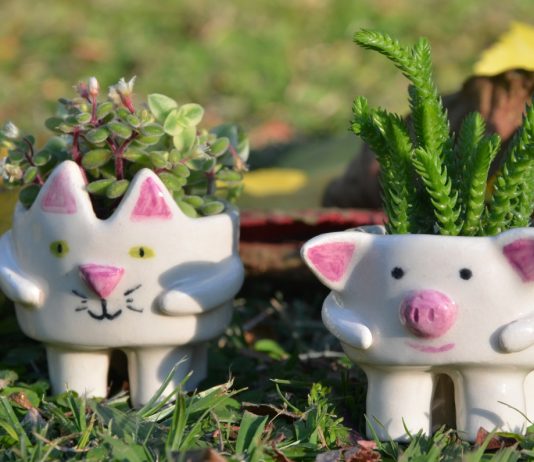 Надоели скучные кашпо: 12 идей для прелестных цветочных горшков