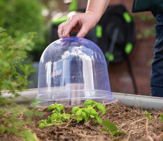 Подбираем укрытие на зиму — 7 способов утеплить многолетники