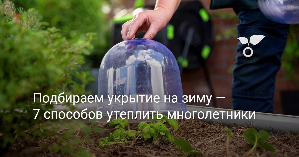 Подбираем укрытие на зиму — 7 способов утеплить многолетники — Ботаничка