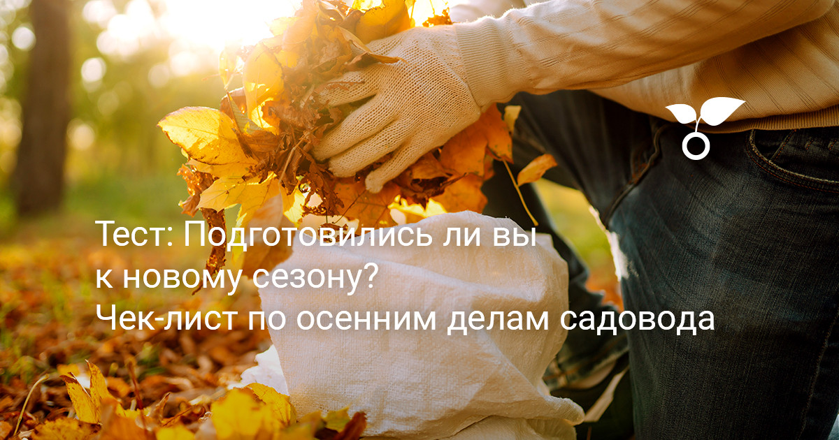 Тест: подготовились ли вы к новому сезону? Чек-лист по осенним делам садовода — Ботаничка