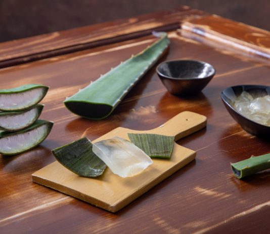 Всемогущее алоэ: живое лекарство, элемент декора и желанный гость в кулинарии - Комнатные растения Всемогущее алоэ: живое лекарство, элемент декора и желанный гость в кулинарии