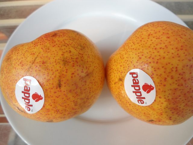 «Пэппл» ('Papple') тоже нередко продаётся под видом грушево-яблочного гибрида, но это сорт груши новозеландского происхождения «Пэппл» ('Papple') тоже нередко продаётся под видом грушево-яблочного гибрида, но это сорт груши новозеландского происхождения