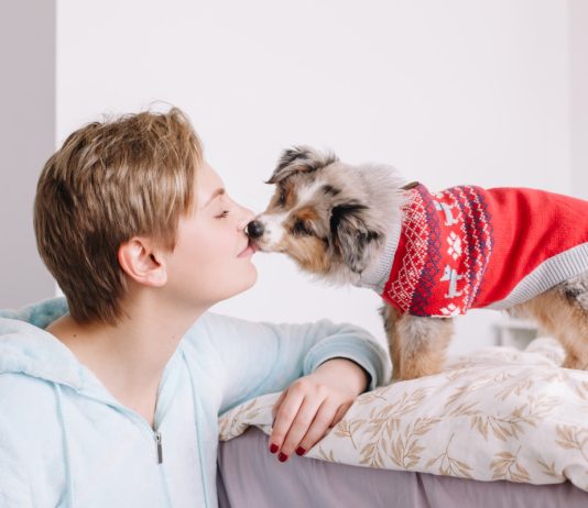 10 ошибок владельцев щенков: как вырастить здоровую и воспитанную собаку?