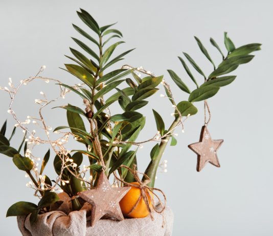 Украшаем комнатные растения к праздникам — 8 идей для любимого цветочка - Своими руками Украшаем комнатные растения к праздникам — 8 идей для любимого цветочка