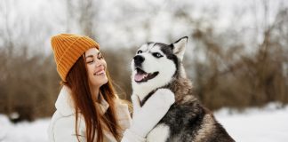 Как гулять с собакой зимой — основные правила зимних прогулок с питомцем