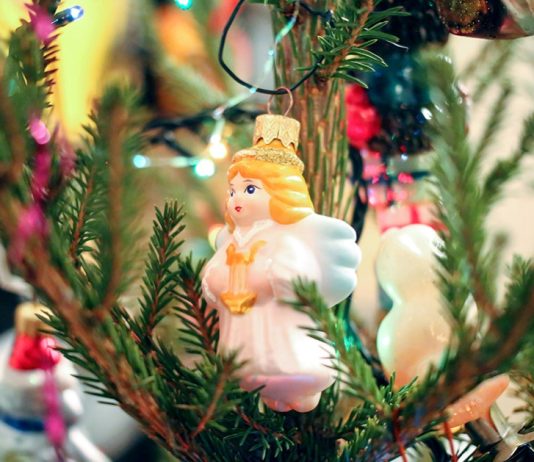 Как продлить жизнь новогодней елке — советы по уходу за живым деревом