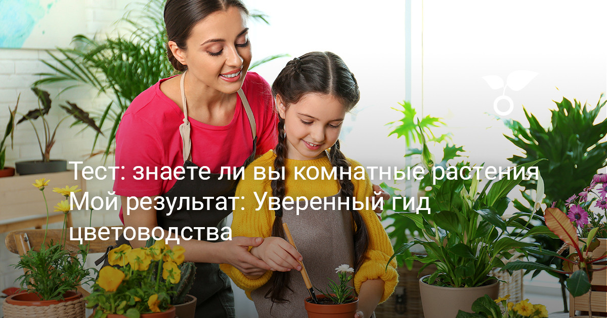 Мой результат: Уверенный гид цветоводства — Ботаничка