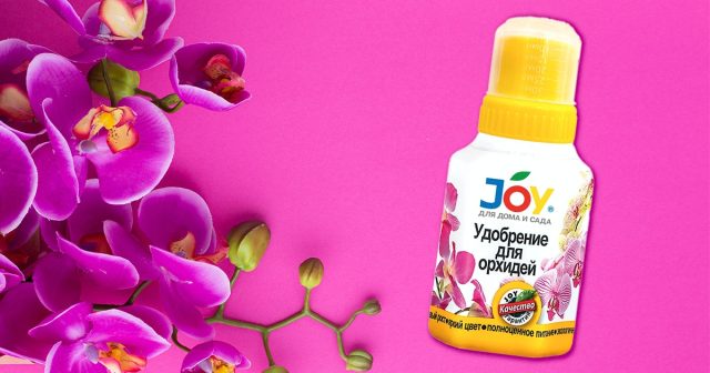 Поддержать в зимнее время любые виды орхидей вам поможет эликсир JOY «ЭКСТРА цветение»