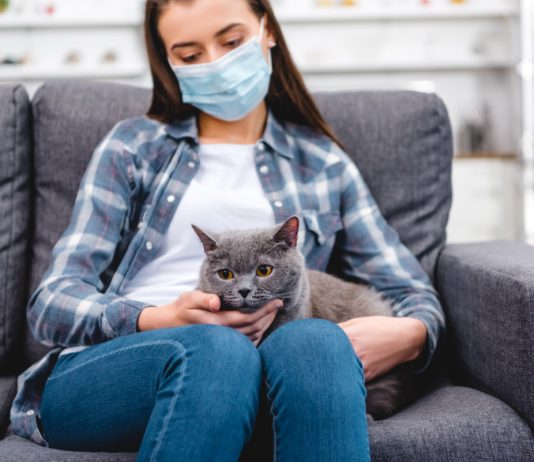 9 опасных болезней, которыми можно заразиться от животных - Животные 9 опасных болезней, которыми можно заразиться от животных