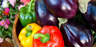 Спор о баклажанах и перцах — какие сорта выбрать для любимых кулинарных изысков