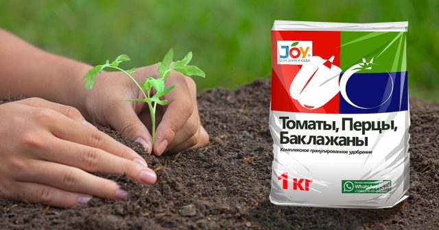 Благодаря комплексному удобрению JOY «Томаты, перцы, баклажаны» ваши томаты получат запас основных элементов для роста – фосфора, калия и азота в идеальной пропорции Благодаря комплексному удобрению JOY «Томаты, перцы, баклажаны» ваши томаты получат запас основных элементов для роста – фосфора, калия и азота в идеальной пропорции