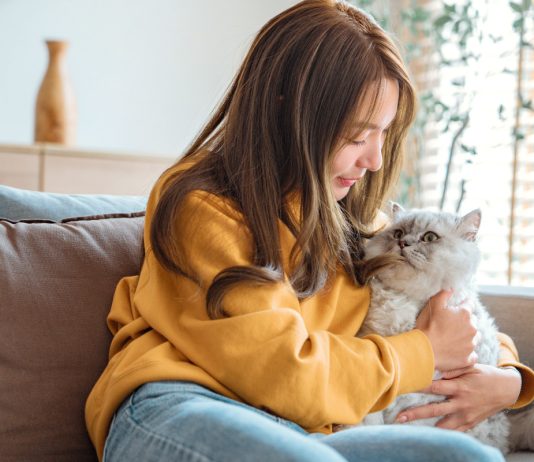 Пушистые лекари: как домашние питомцы нас лечат - Животные Пушистые лекари: как домашние питомцы нас лечат