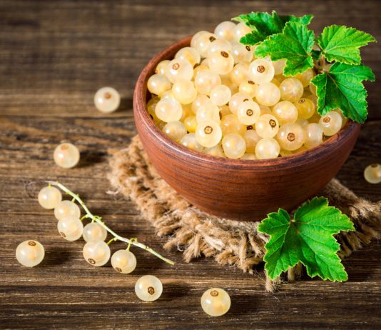Лучшие сорта белой смородины для Московской области и средней полосы