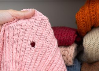 «Нет» съеденной кофте: как избавиться от моли в шкафу