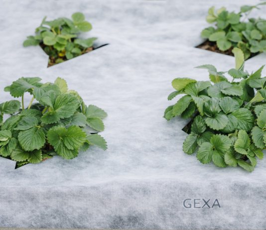 Секреты укрывного материала: 7 полезных советов по выращиванию богатого урожая