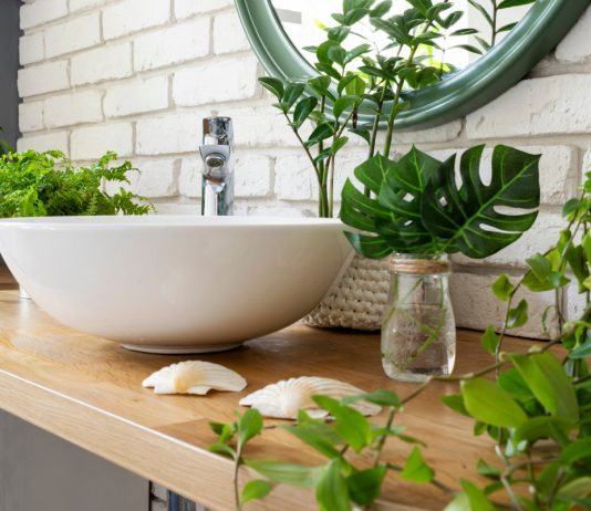 12 лучших растений для ванной комнаты — выбираем правильно - Комнатные растения Тропики в душевой: 12 лучших растений для ванной комнаты