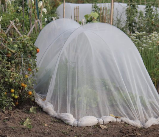 Чем я защищаю рассаду и другие растения от плохой погоды - Своими руками Чем я защищаю рассаду и другие растения от плохой погоды