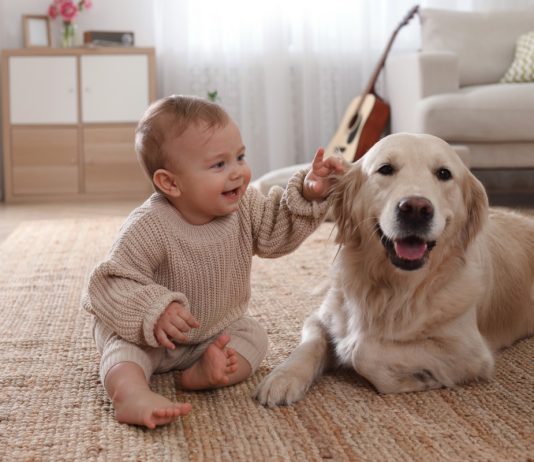 Какую собаку завести в семье с ребенком?