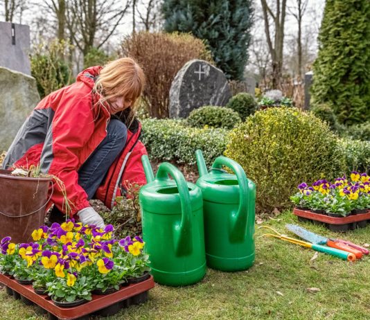 Родительский день: подбираем растения для цветника на могиле