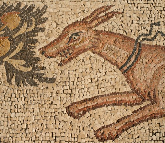 10 уникальных исчезнувших пород собак