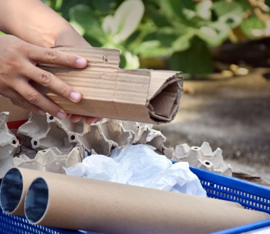 Боремся с сорняками обычной бумагой — эффективные методы и лайфхаки - Своими руками Боремся с сорняками обычной бумагой — эффективные методы и лайфхаки