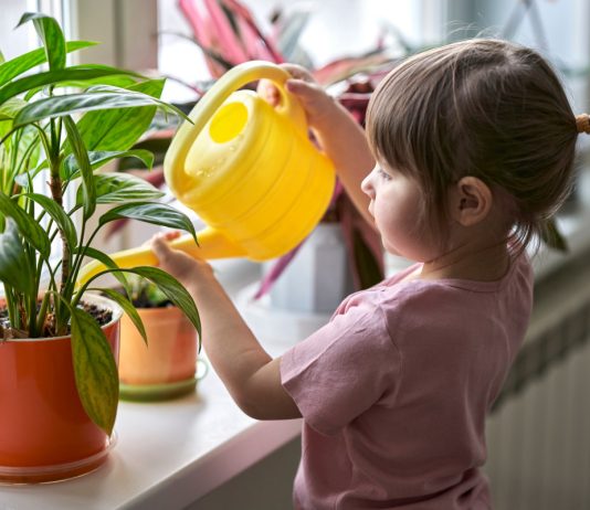 Какие растения опасно ставить в детскую комнату?