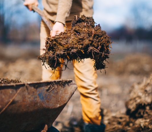 Когда навоза в избытке: как реализовать или утилизировать без нарушения закона