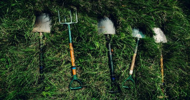 Садовый инвентарь: 7 главных помощников дачника
