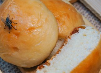 В чем опасность обычной мухи и как с ней эффективно бороться