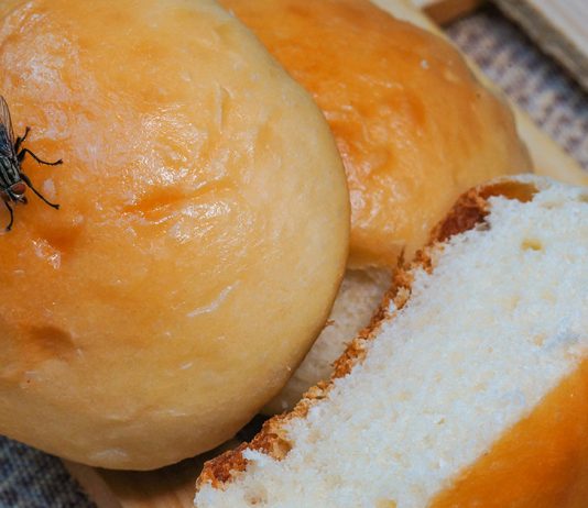 В чем опасность обычной мухи и как с ней эффективно бороться