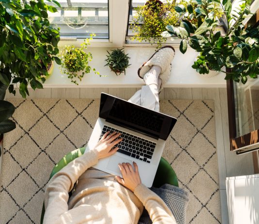 Комнатные растения — откуда брать полезные и точные советы? - Вредители и болезни Комнатные растения — откуда брать полезные и точные советы?