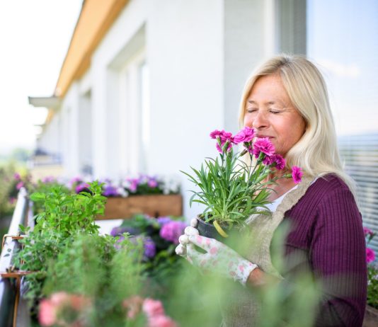 Лучшие цветы для балконов и лоджий из личного опыта