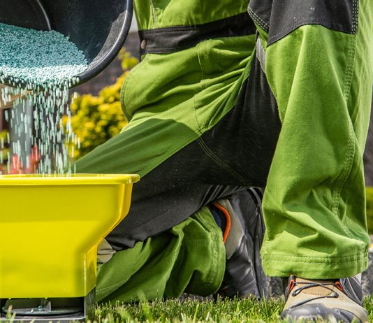 Правила удобрения газона от А до Я - Цветник и ландшафт Правила удобрения газона от А до Я