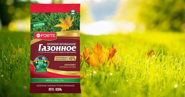 Удобрение Газонное Лето-Осень Bona Forte подготовит траву к зимовке и ускорит её восстановление будущей весной Удобрение Газонное Лето-Осень Bona Forte подготовит траву к зимовке и ускорит её восстановление будущей весной