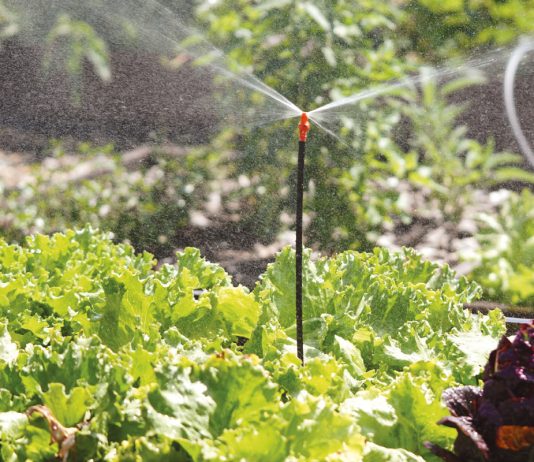 Преимущества систем автополива: увеличиваем урожайность и экономим воду