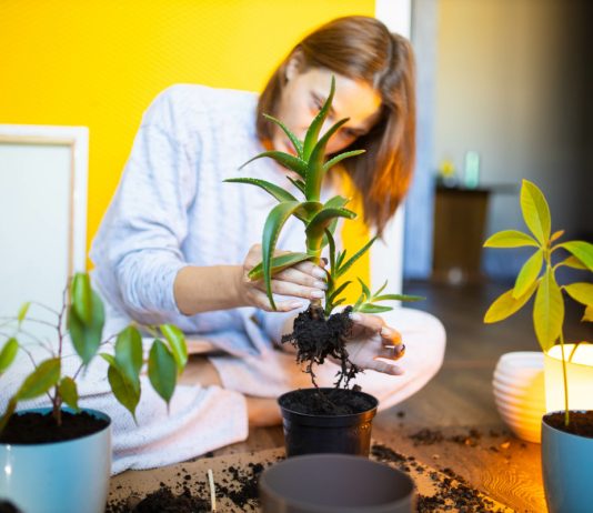 Советы по уходу за растениями, которые вы хотели бы знать раньше