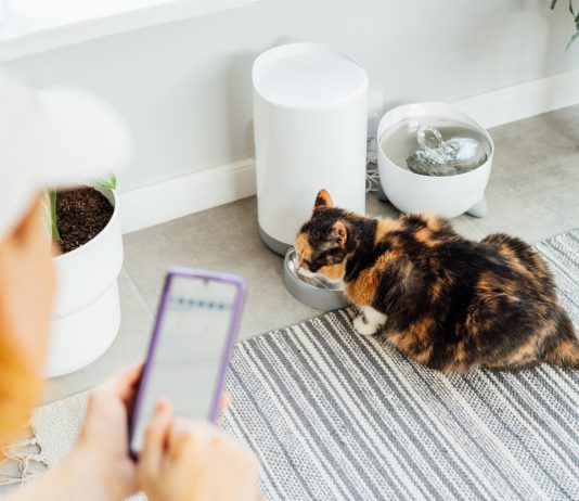 10 гаджетов, чтобы стать идеальным хозяином домашнего животного.