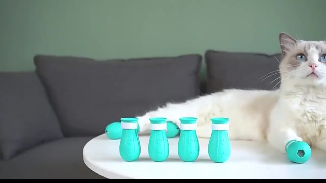 Ботинки-антицарапки для купания. Ботинки-антицарапки для купания.