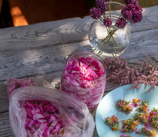 Чайный букет: 20 растений из вашего сада для ароматного напитка - Цветник и ландшафт Чайный букет: 20 растений из вашего сада для ароматного напитка