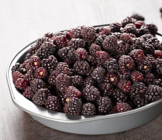 Гибрид малины и ежевики — выращиваем бойзенову ягоду - Ягодник Гибрид малины и ежевики — выращиваем бойзенову ягоду