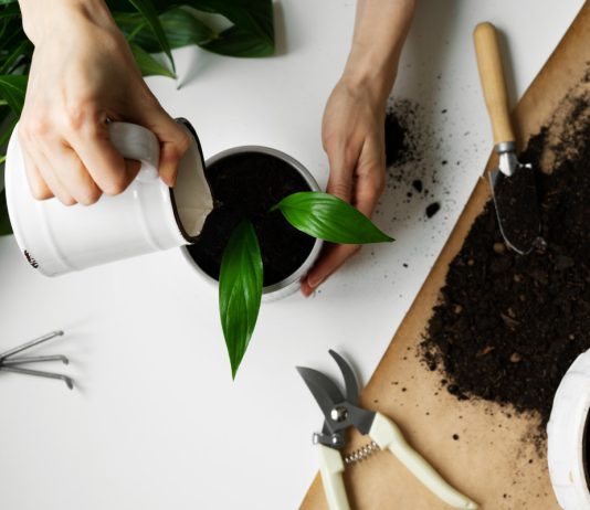 Инструменты первой необходимости для каждого цветовода