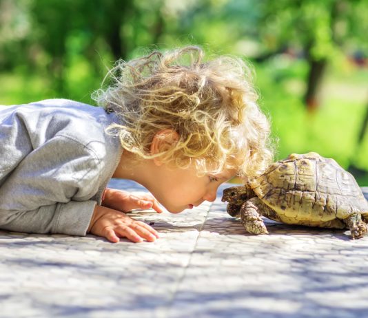 Какое животное завести ребёнку? Разбираем нюансы популярных вариантов