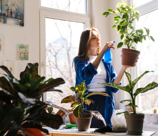 Растения умеют видеть, слышать и помнить — тайны ботанического мира - Цветник и ландшафт Растения умеют видеть, слышать и помнить — тайны ботанического мира